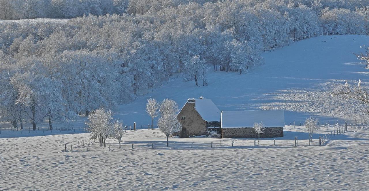 Condom-d'Aubrac Aux Portes D'Aubrac Studio 2 Personnes Bed & Breakfast エクステリア 写真