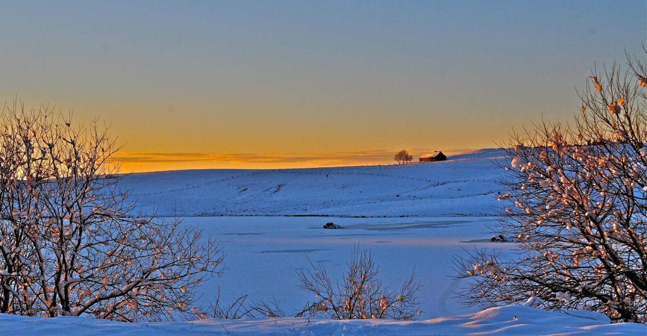 Condom-d'Aubrac Aux Portes D'Aubrac Studio 2 Personnes Bed & Breakfast エクステリア 写真